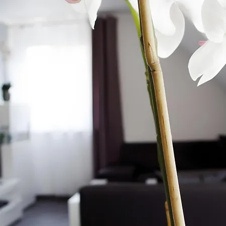Fuer 2 Personen 54 M² Lotte